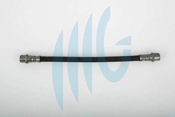 Brake Hose (02070019)