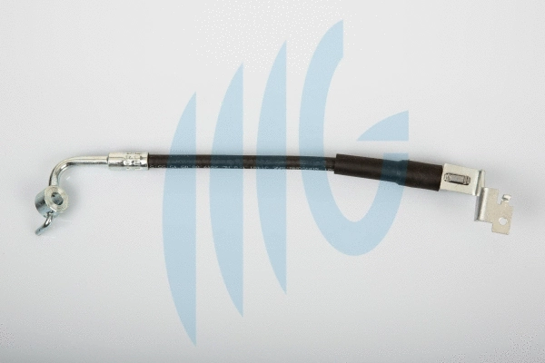 Brake Hose (02140334)