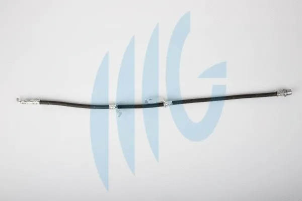 Brake Hose (02561125)