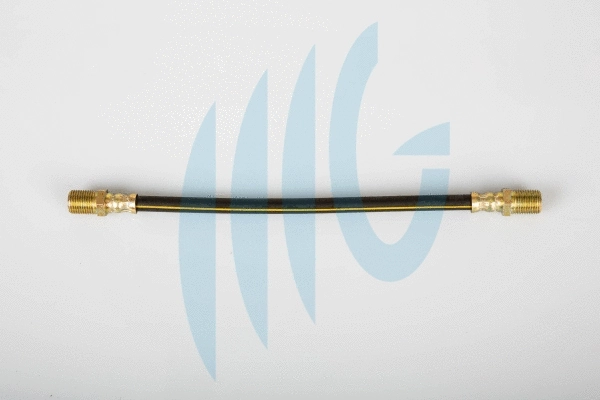 Brake Hose (02520945)