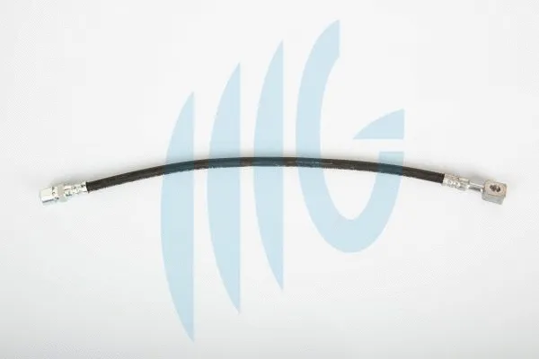 Brake Hose (02140384)