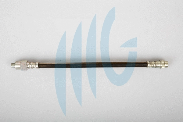 Brake Hose (02440584)