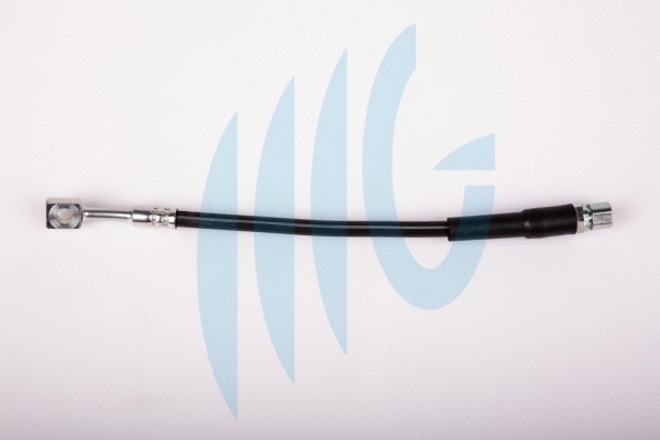 Brake Hose (02360491)