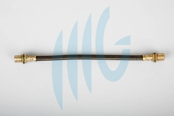 Brake Hose (02561005)