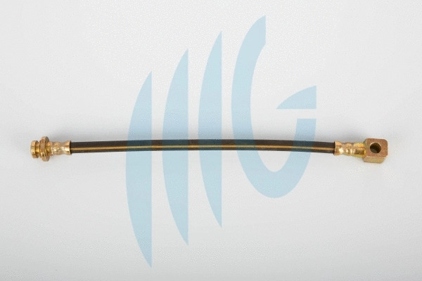 Brake Hose (02100760)