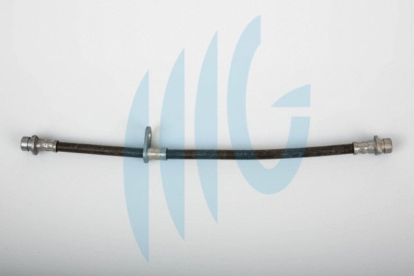 Brake Hose (02180822)