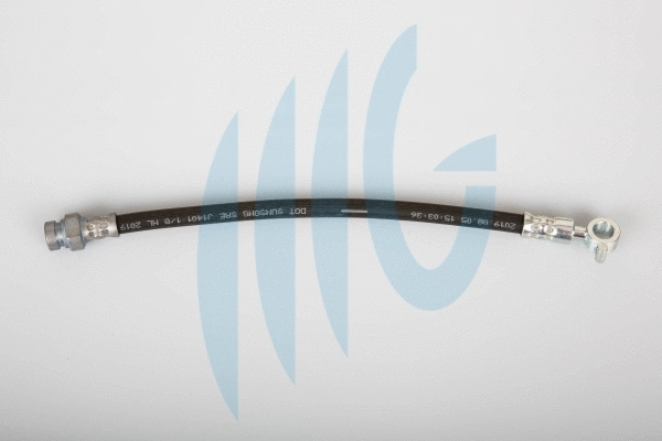 Brake Hose (02160962)