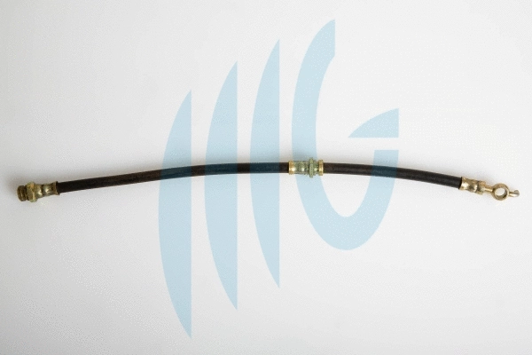 Brake Hose (02300853)