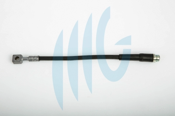 Brake Hose (02140381)
