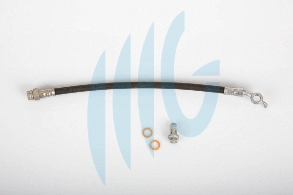 Brake Hose (02620690)