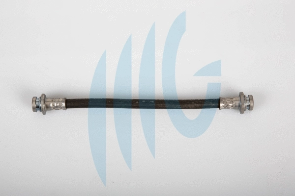 Brake Hose (02070013)