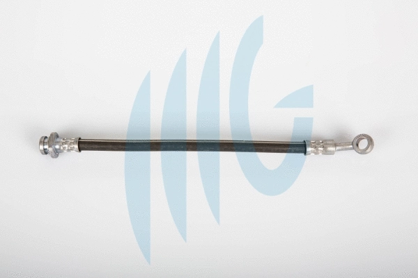 Brake Hose (02520948)