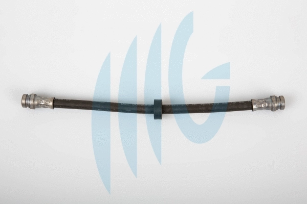 Brake Hose (02300880)