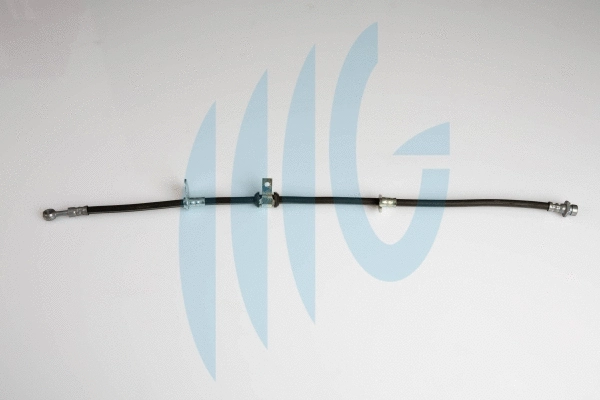 Brake Hose (02180824)
