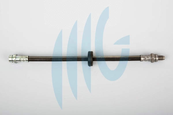Brake Hose (02140363)