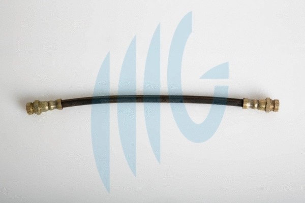 Brake Hose (02300850)