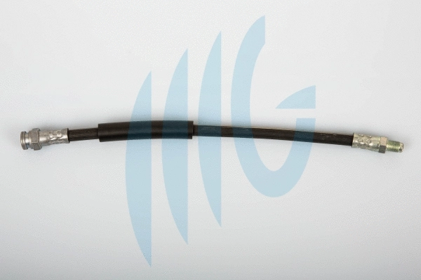 Brake Hose (02260383)