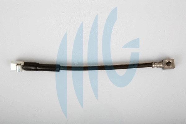 Brake Hose (02360477)