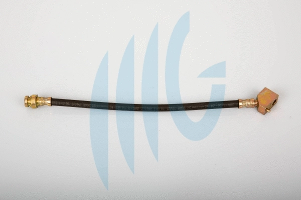 Brake Hose (02100732)