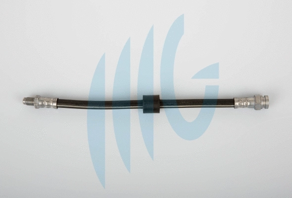 Brake Hose (02260380)