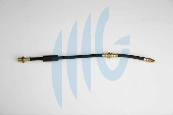 Brake Hose (02100722)