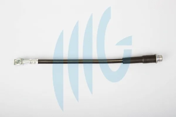 Brake Hose (02280717)