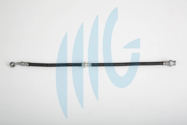 Brake Hose (02160913)