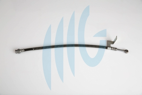 Brake Hose (02160914)