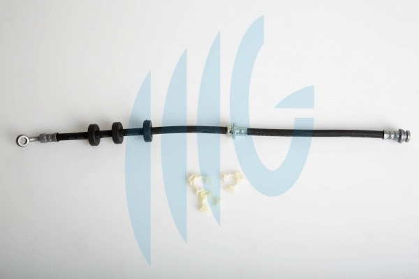 Brake Hose (02520962)
