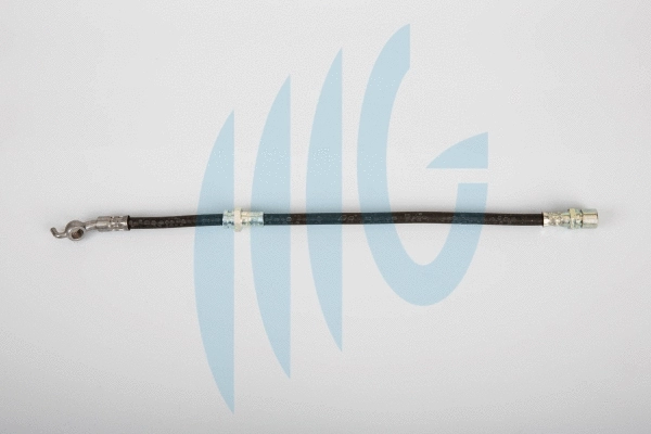 Brake Hose (02070017)