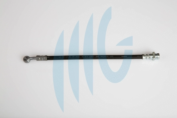 Brake Hose (02160945)