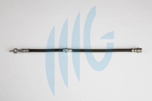 Brake Hose (02300855)