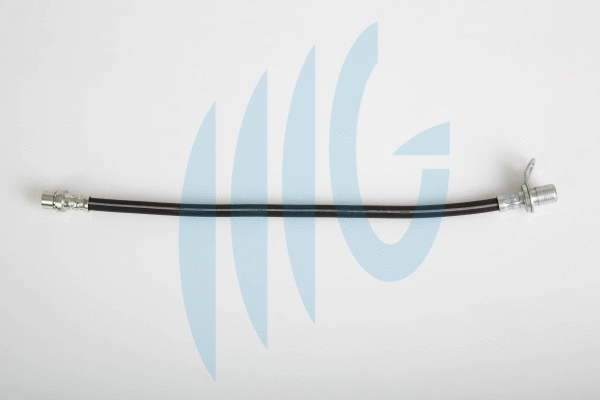 Brake Hose (02561164)