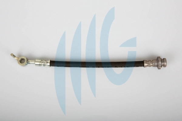 Brake Hose (02101136)