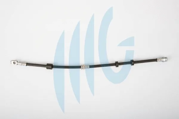 Brake Hose (02480924)