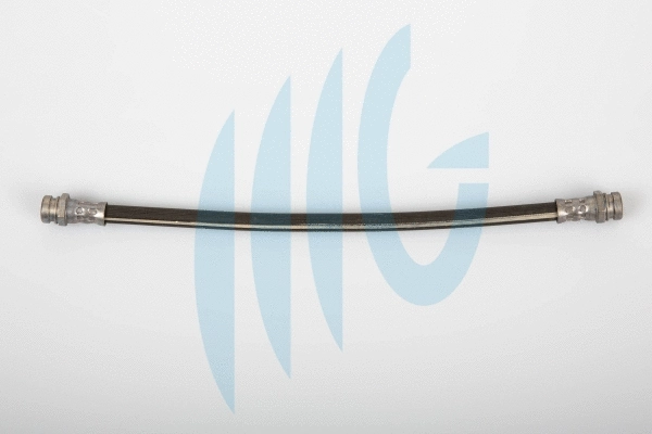 Brake Hose (02300893)