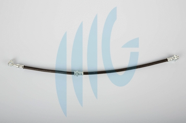 Brake Hose (02101161)