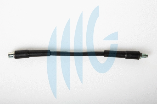 Brake Hose (02080440)