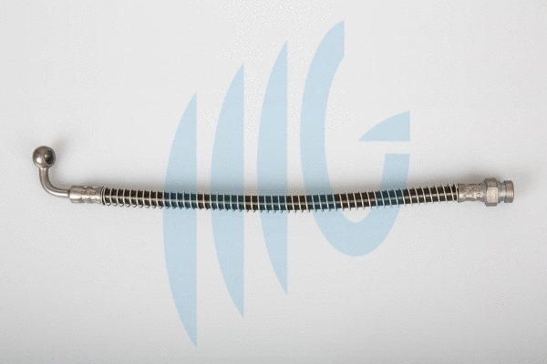 Brake Hose (02160933)