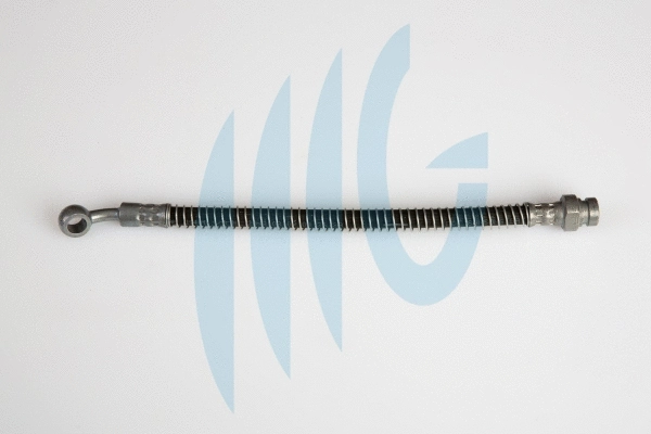 Brake Hose (02160946)