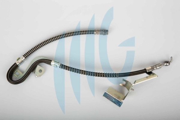 Brake Hose (02380549)