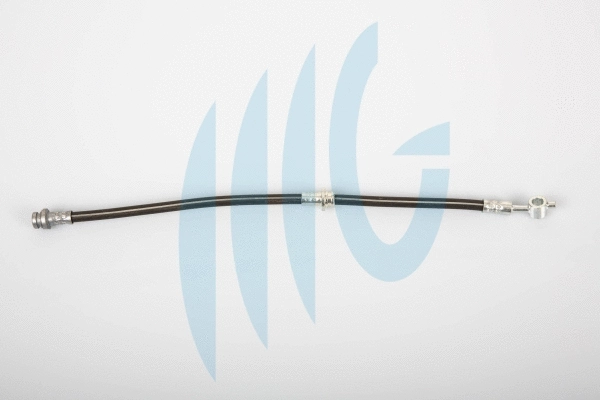 Brake Hose (02100770)
