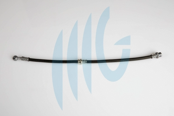 Brake Hose (02160866)