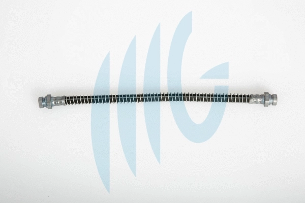 Brake Hose (02320884)