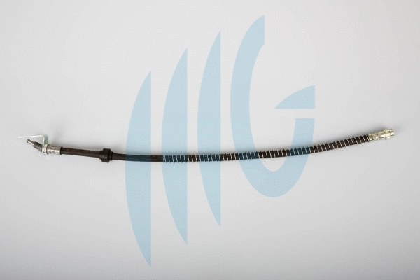Brake Hose (02440616)