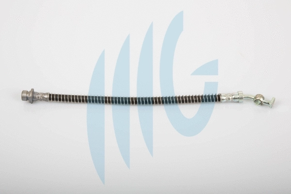 Brake Hose (02280438)