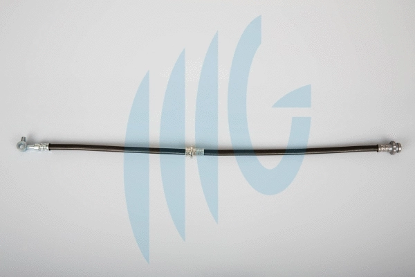 Brake Hose (02101152)
