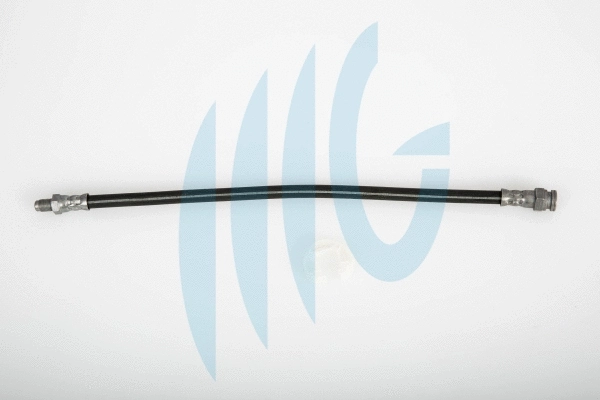 Brake Hose (02120244)