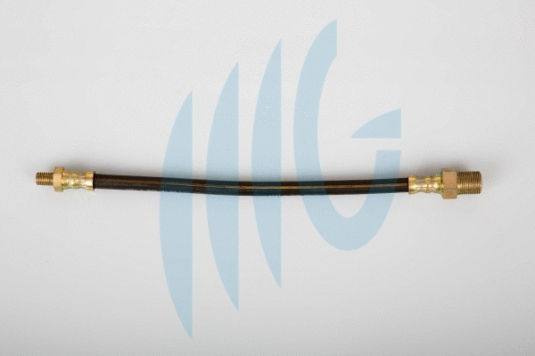 Brake Hose (02280701)