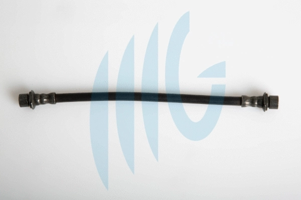 Brake Hose (02561047)